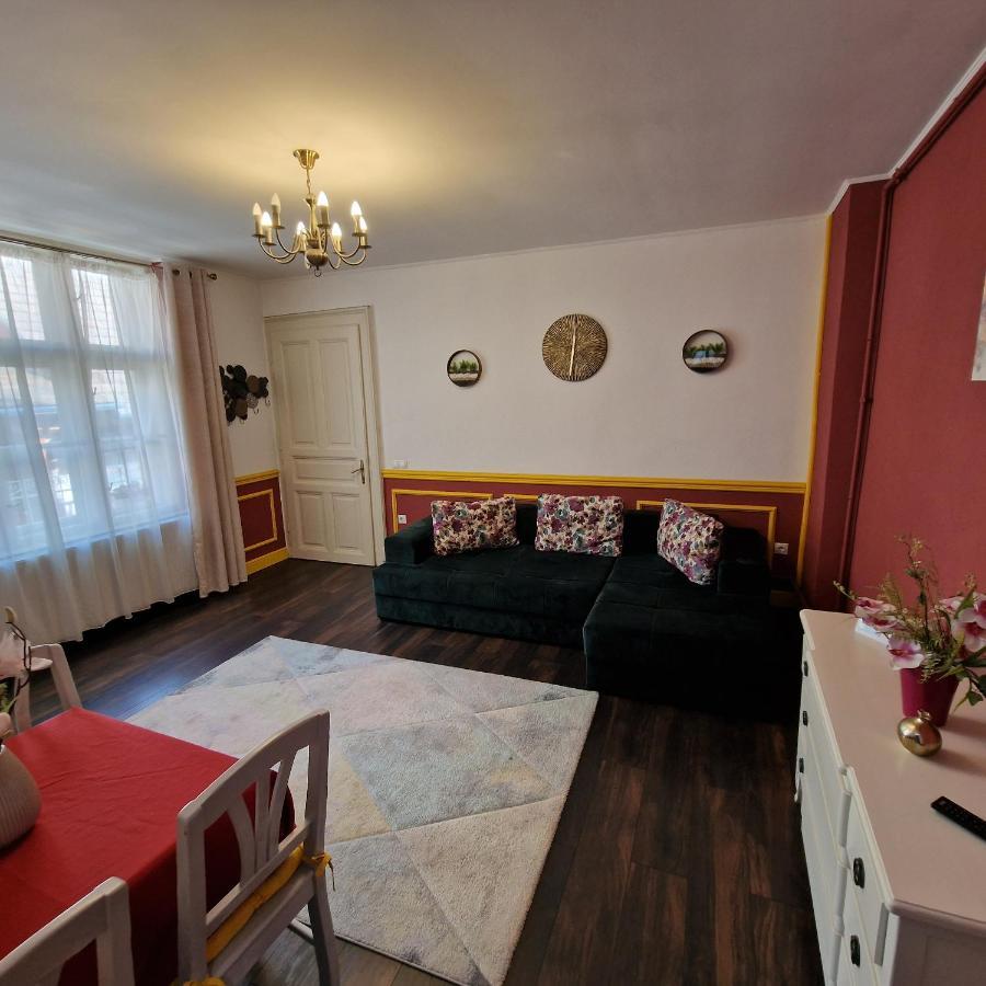 Central Park Apartment Segesvár Kültér fotó